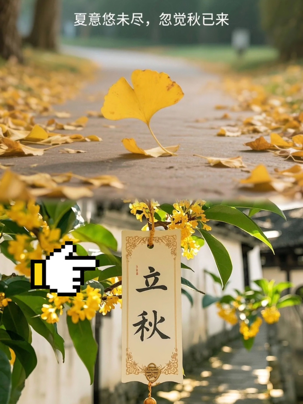 第264页