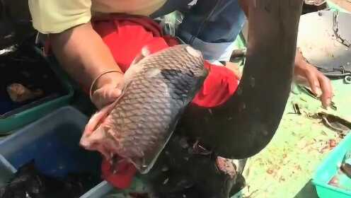 第180页